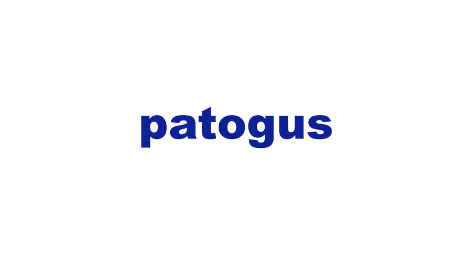 Patogus